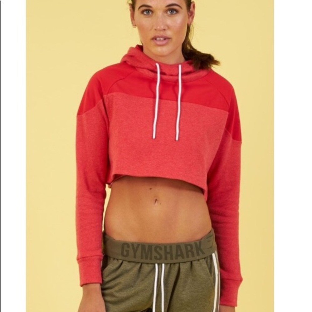 Nikki b cropped hoodie size L. Brand new!